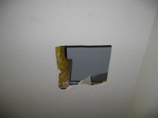 IMG_2125.jpg