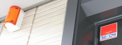 IMG_2215.jpg