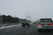 IMG_3568.jpg