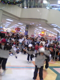 SH530062.jpg