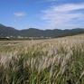 R0010270.jpg