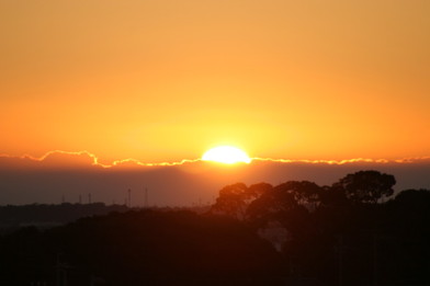 IMG_7023.JPG